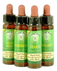 Wild Rose (Αγριοτριανταφυλλιά)