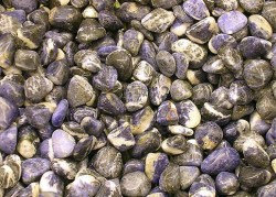 Μεγάλο Βότσαλο Σοδαλίτης