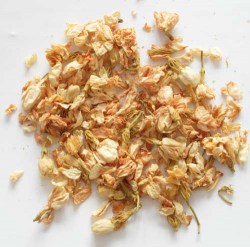 Άνθη Γιασεμιού