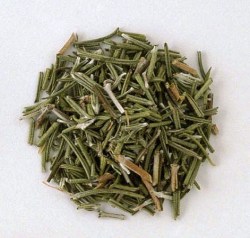 Δεντρολίβανο (Rosemary)