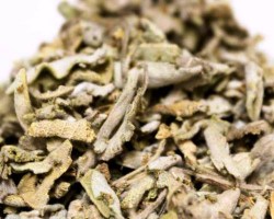 Φασκόμηλο (Sage)