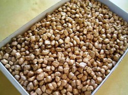 Χρυσολίβανο