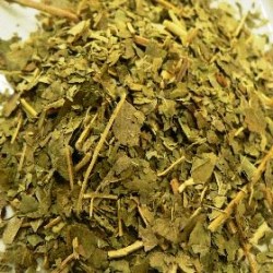 Φύλλα Φλαμουριάς (Ash Leaves)