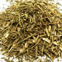 Βερβένα (Vervain)