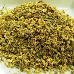 Άνθη Κουφοξυλιάς (Σαμπούκος)