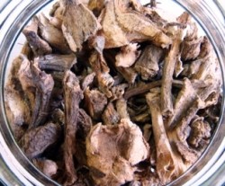 Ρίζα Μπελλαντόνας