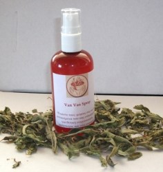 Spray Van Van
