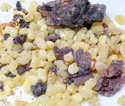 Τα Λιβάνια του Δαυίδ