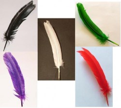 Πένες Φυσικό Φτερό