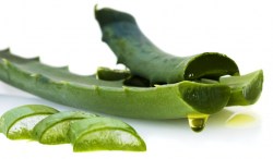 Έλαιο Αλόης