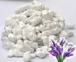 Μοσχολίβανο Λεβάντα