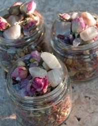 Το Θυμιατό του Κρόνου