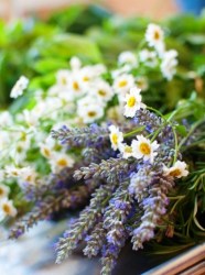 Έλαιο Χώρου Χαμομήλι με Λεβάντα