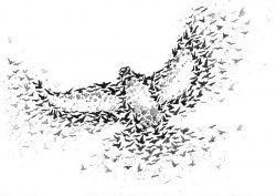 Μείγμα Αιθέριων Ελαίων Peace & Harmony