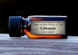 Λάβδανο (Cistus Ladanifer)