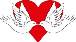 Έλαιο Η Καρδιά του Περιστεριού